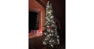 An illuminated Christmas tree in a cabin