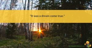 An image of the woods at sunset. Across the top are the words 