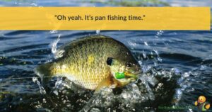 A fish jumping out of the water. Across the top are the words 