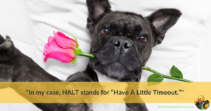 A black dog with a rose in its mouth, with a quote about slowing down