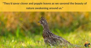 A bird standing in the grass. Across the top are the words 